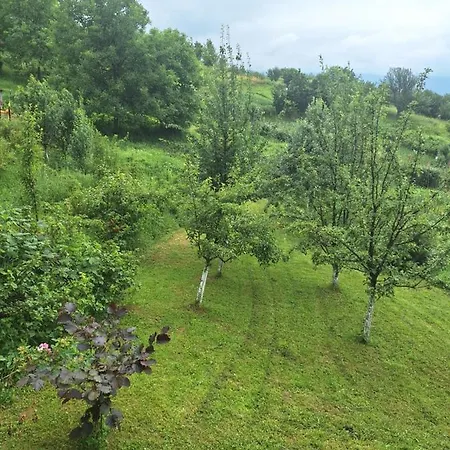 Tent אוהל מפואר