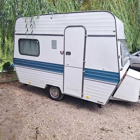 Tent *